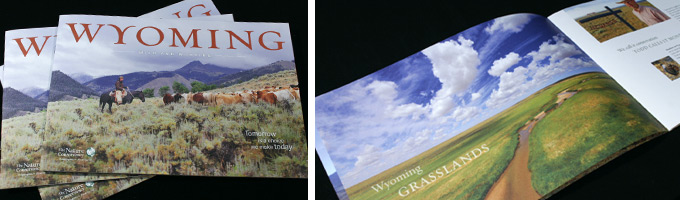 The Nature Conservancy